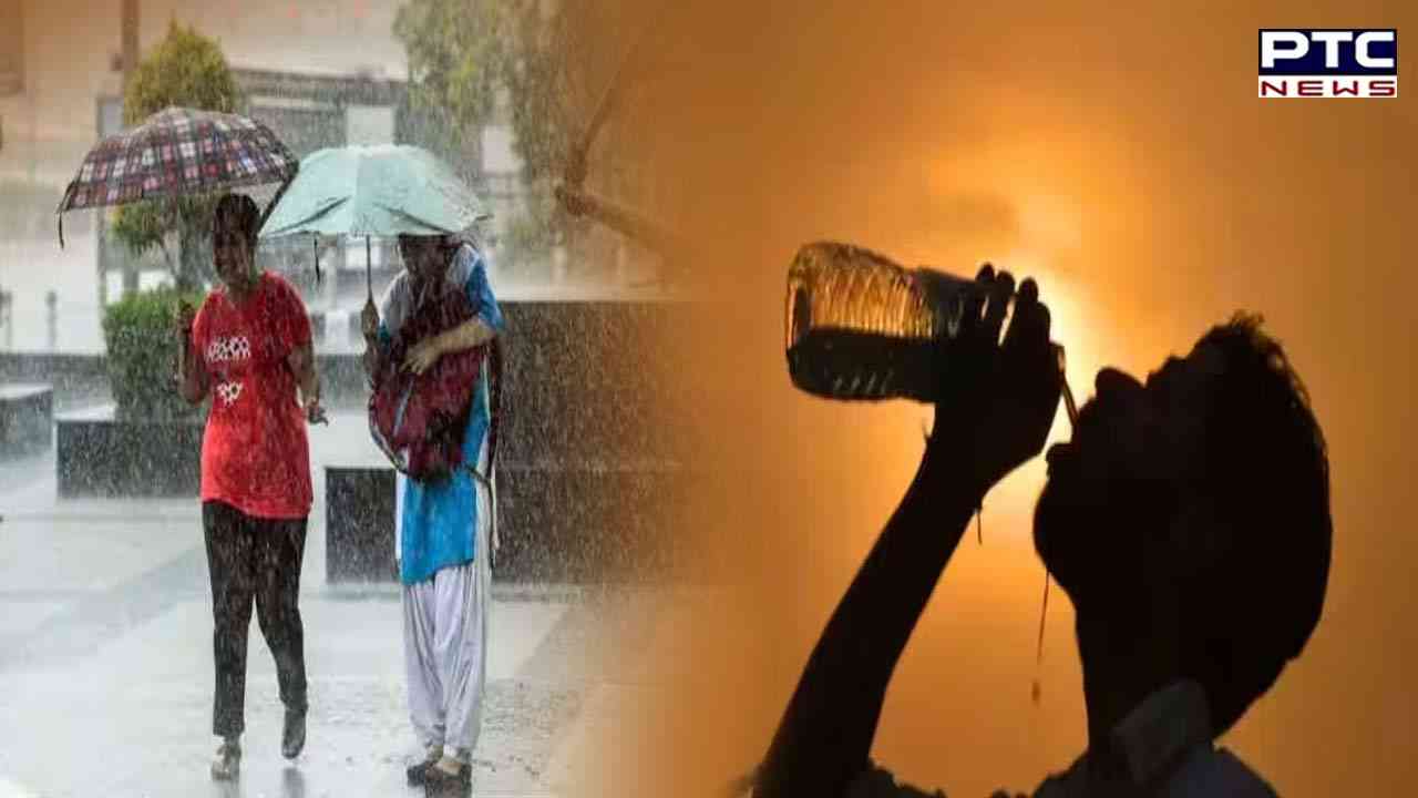 Respite from heat: Rain lashes parts of Delhi-NCR, Punjab, Chandigarh