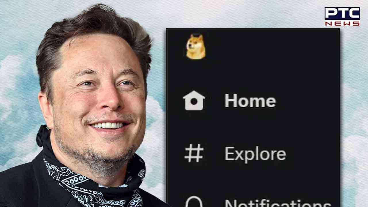 Elon Musk embraces infamous 'Doge' meme, replacing blue bird on Twitter