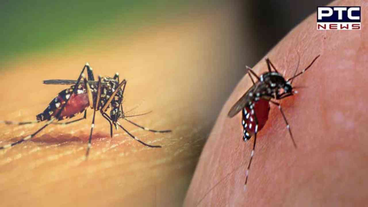National Dengue Day 2023: ਰਾਸ਼ਟਰੀ ਡੇਂਗੂ ਦਿਵਸ 'ਤੇ ਜਾਣੋ ਇਸ ਬਿਮਾਰੀ ਦੇ ਨਾਲ ਜੁੜੇ ਲੱਛਣ ਅਤੇ ਸਾਵਧਾਨੀਆਂ