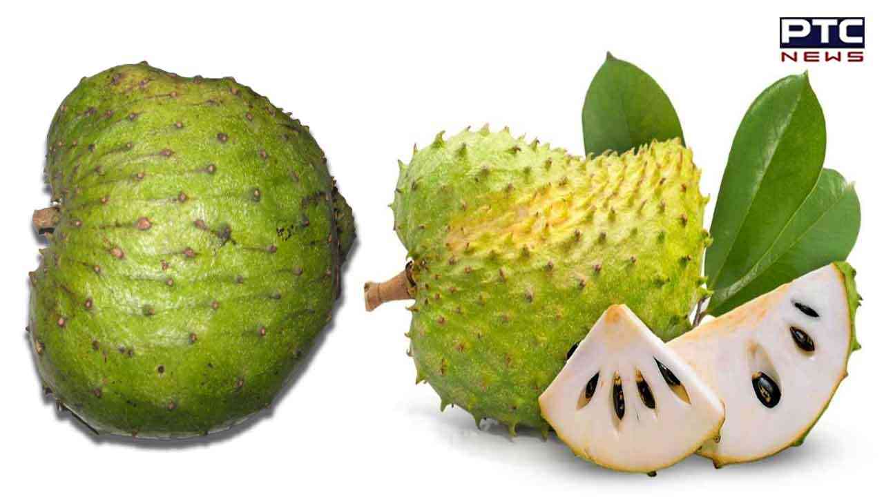 Most Smelly Fruit in World ਇਹ ਹੈ ਦੁਨੀਆ ਦਾ ਸਭ ਤੋਂ ਬਦਬੂਦਾਰ ਫਲ, ਜਾਣੋ ਇਸ ਫਲ