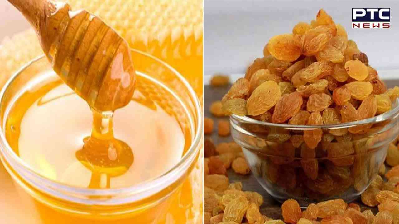 Honey Raisins Health Benefits: ਰੋਜ਼ਾਨਾ ਸ਼ਹਿਦ ਅਤੇ ਕਿਸ਼ਮਿਸ਼ ਦਾ ਸੇਵਨ ਨਾਲ ਹੁੰਦੇ ਹਨ ਇਹ ਫਾਇਦੇ