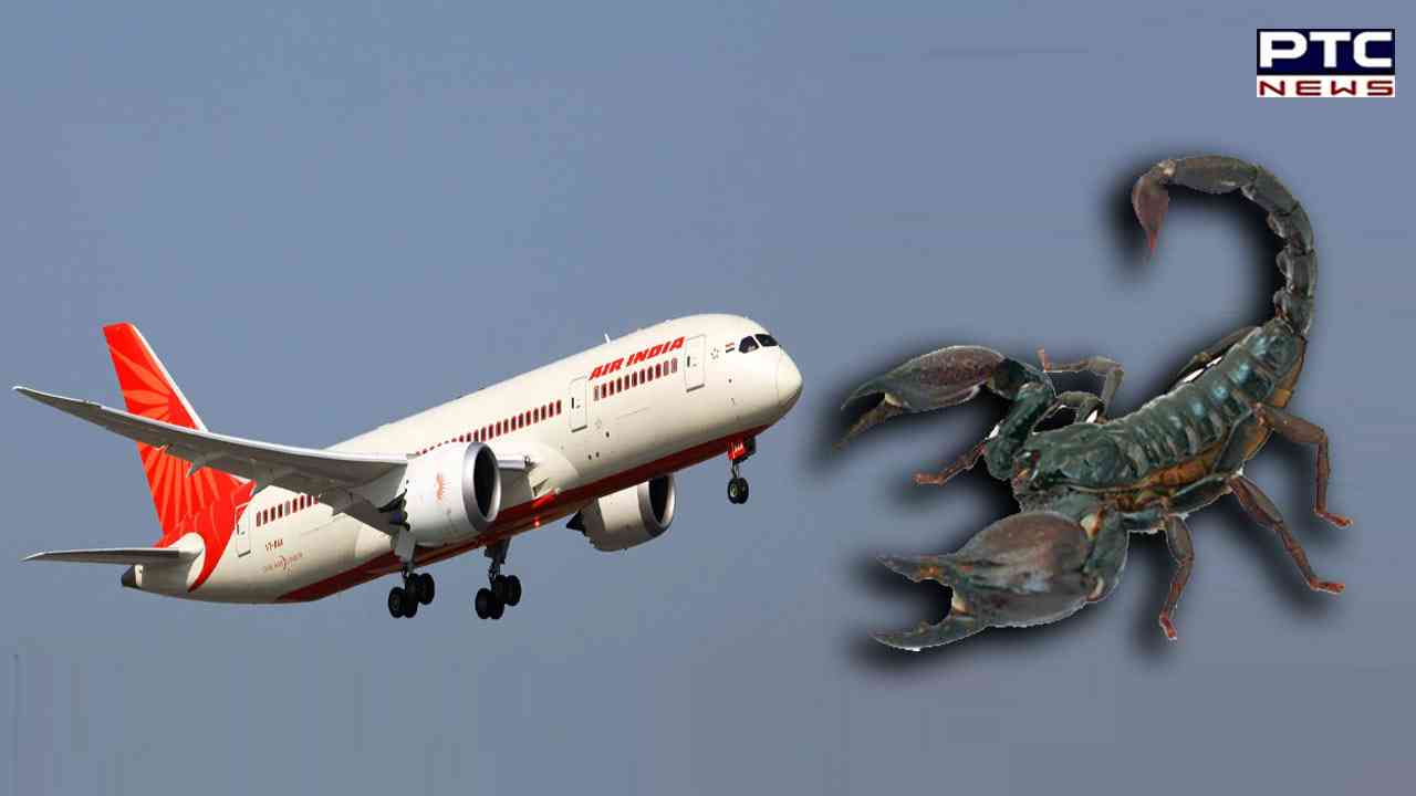 Scorpion bites Air India passenger during Nagpur-Mumbai flight