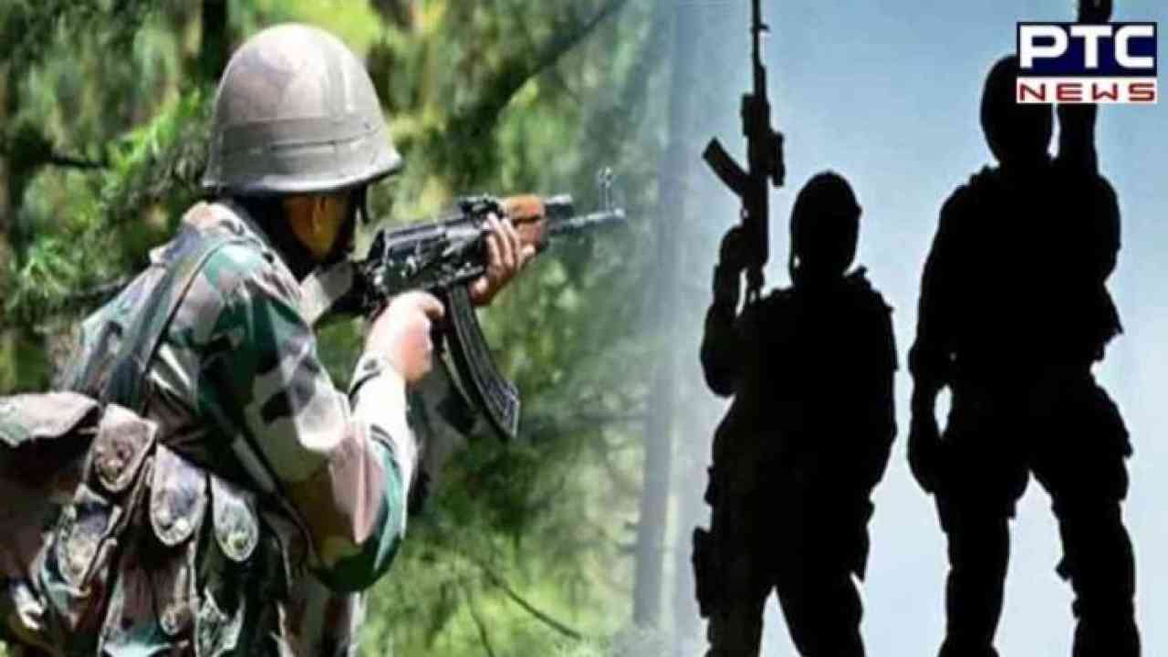 J-K Police, Army neutralise two terrorists in joint operation