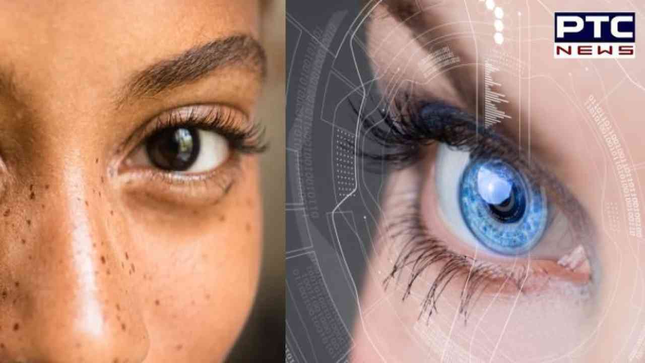 Optical Illusions: Study shows how human eyes play 'tricks' on minds