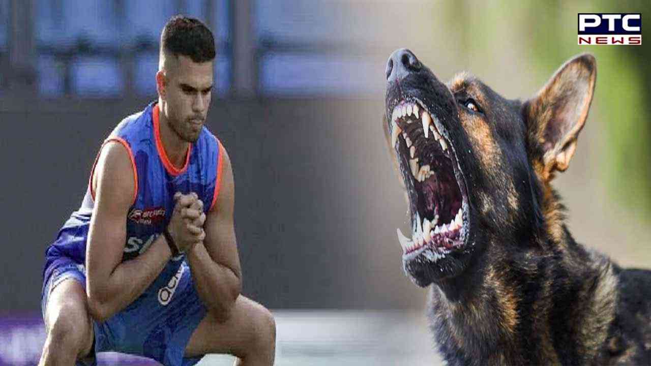 IPL ਦੇ ਵਿਚਾਲੇ ਅਰਜੁਨ ਤੇਂਦੁਲਕਰ ਨੂੰ ਕੁੱਤੇ ਨੇ ਕੱਟਿਆ, ਮੈਚ ਤੋਂ ਪਹਿਲਾਂ ਲਖਨਊ 'ਚ ਵਾਪਰੀ ਘਟਨਾ