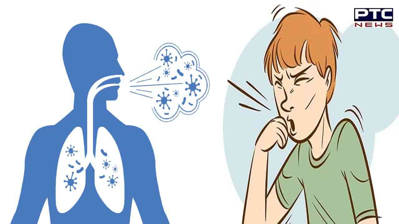 Dry cold triggers seasonal illnesses in Punjab; light rain likely on New Year to bring relief