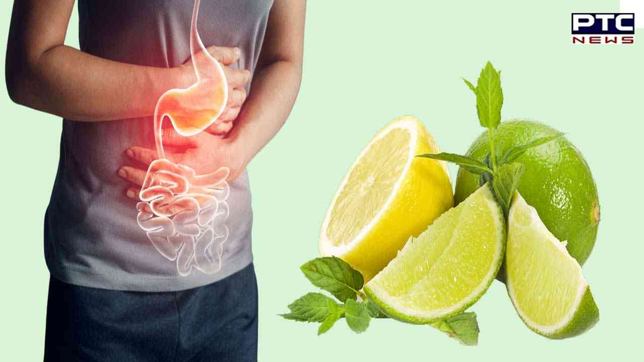Benefits Of Lemon: ਨਿੰਬੂ ਦੇ ਛਿਲਕੇ ਦੇ ਫਾਇਦੇ ਜਾਣ ਕੇ ਤੁਸੀਂ ਰਹਿ ਜਾਓਗੇ ਹੈਰਾਨ