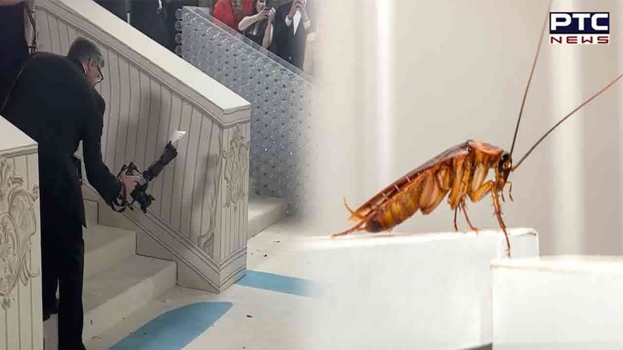 Met Gala 2023: Cockroach steals spotlight moment on red carpet, watch video
