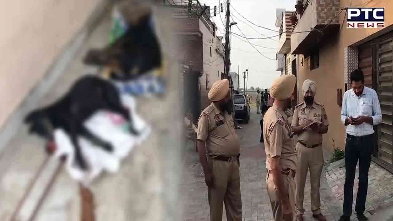 20 dogs poisoned to death in Punjab's Khanna; complaint lodged
