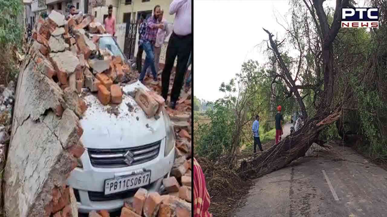 Punjab Weather Update: Trees uprooted, roads blocked, power outage due to rain, thunderstorm in Punjab