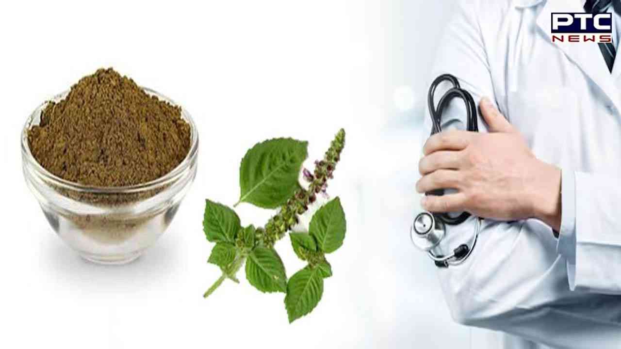 Tulsi Benefits: ਜਾਣੋ ਤੁਲਸੀ ਦੇ ਪੱਤੀਆਂ ਦੇ ਇਹ 5 ਫਾਇਦੇ, ਜਿਨ੍ਹਾਂ ਨਾਲ ਤੁਸੀ ਹੋ ਸਕਦੇ ਹੋ ਸਿਹਤਮੰਦ !