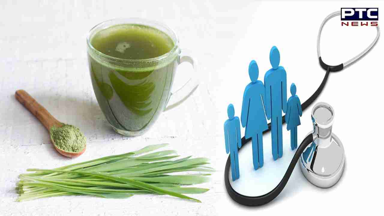 Barley Grass Benefits: ਜਾਣੋ ਜੌਂ ਦਾ ਘਾਹ ਕਿਵੇਂ ਹੈ ਸਿਹਤ ਲਈ ਫਾਇਦੇਮੰਦ, ਸਰੀਰ ਦੀਆਂ ਇਨ੍ਹਾਂ ਪਰੇਸ਼ਾਨੀਆਂ ਨੂੰ ਕਰਦਾ ਹੈ ਠੀਕ