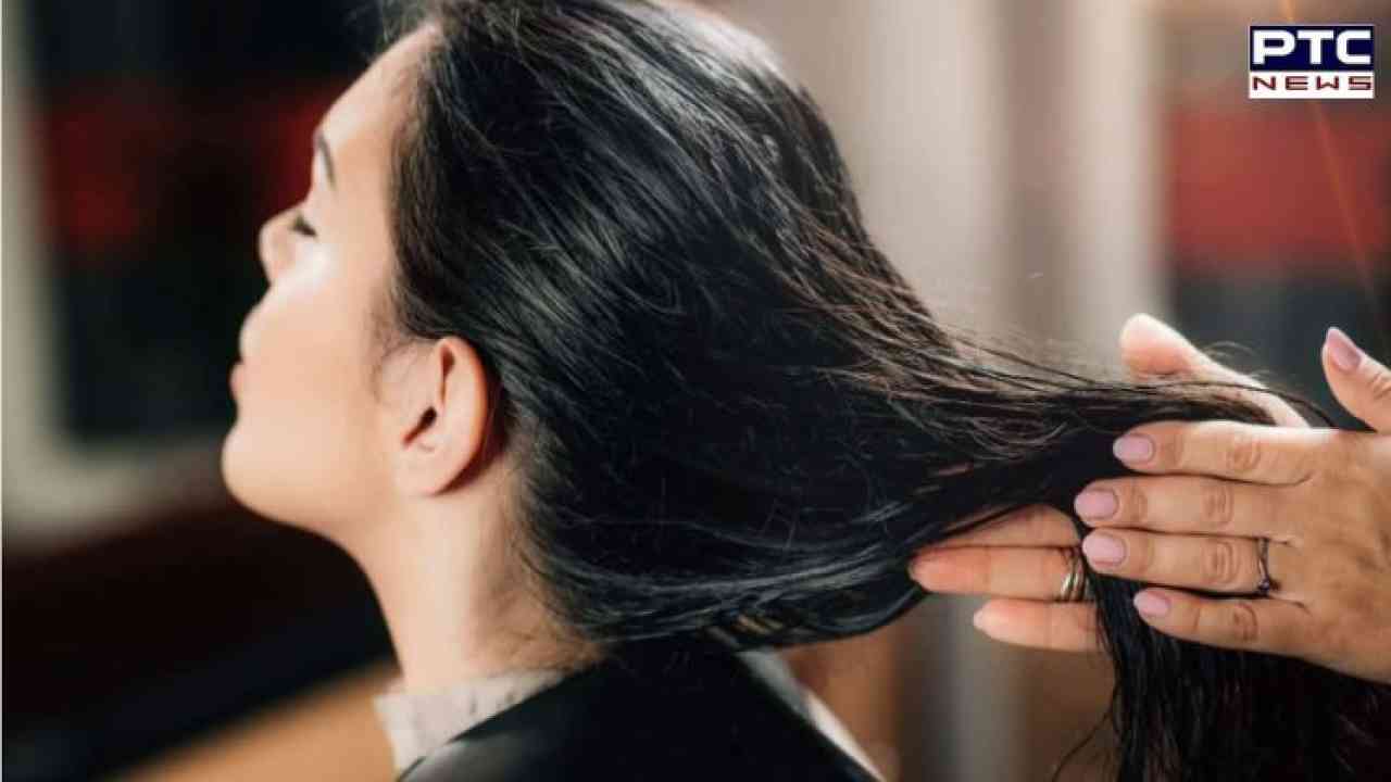 Hair Care : ਵਾਲਾਂ ਨੂੰ ਮੋਟਾ ਅਤੇ ਸੰਘਣਾ ਬਣਾਉਣ ਲਈ ਲਗਾ ਸਕਦੇ ਹੋ ਇਹ ਤੇਲ !