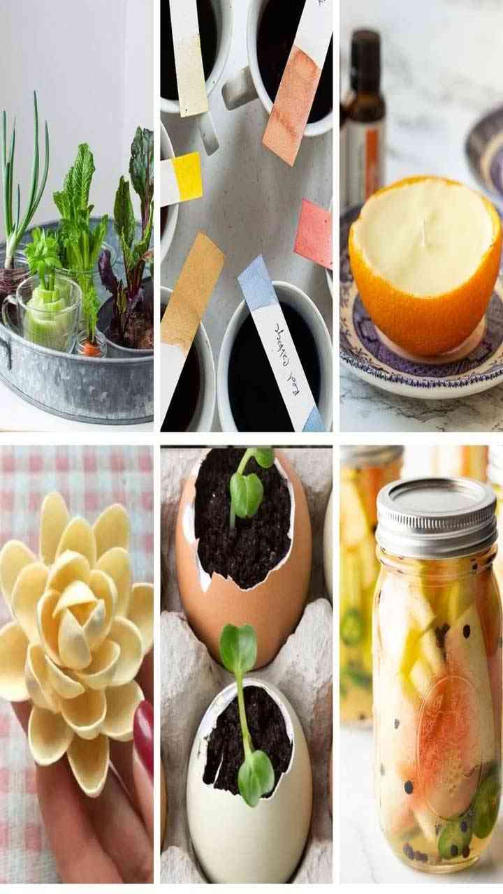 10 creative ways to use food scraps | Web Stories - PTC News