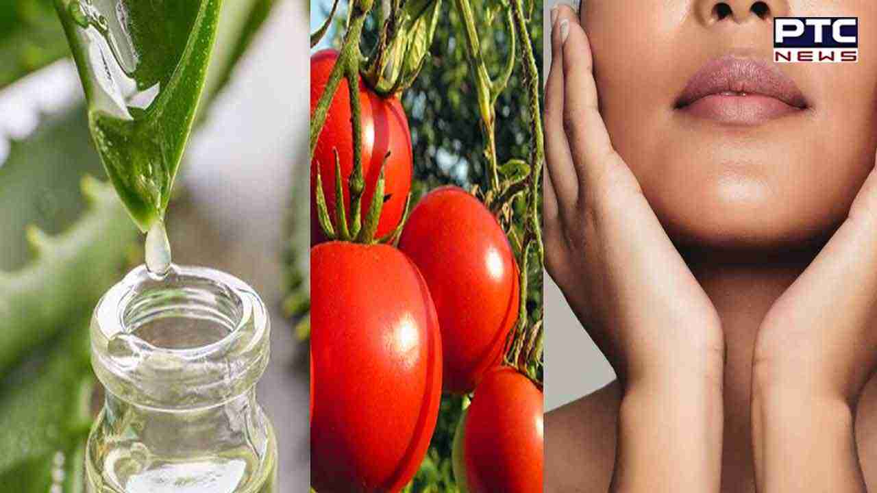 Glowing Skin Diet: ਆਪਣੀ ਖੁਰਾਕ 'ਚ ਇਨ੍ਹਾਂ ਫਲਾਂ ਨੂੰ ਕਰੋ ਸ਼ਾਮਿਲ, ਜਾਣੋ ਫਾਇਦੇ...