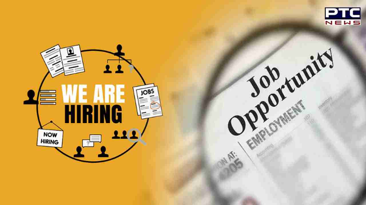 NCS Portal: ਨੌਕਰੀਆਂ ਹੀ ਨੌਕਰੀਆਂ, ਇਸ ਪੋਰਟਲ 'ਤੇ ਵੰਡੀਆਂ ਜਾ ਰਹੀਆਂ ਹਨ ਨੌਕਰੀਆਂ, 20 ਲੱਖ ਤੋਂ ਵੱਧ ਖਾਲੀ ਹੋਈਆਂ ਅਸਾਮੀਆਂ