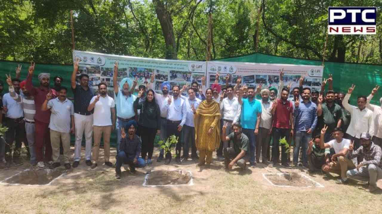 World Environment Day: Chhatbir Zoo ends one-month-long awareness campaign with plantation drive