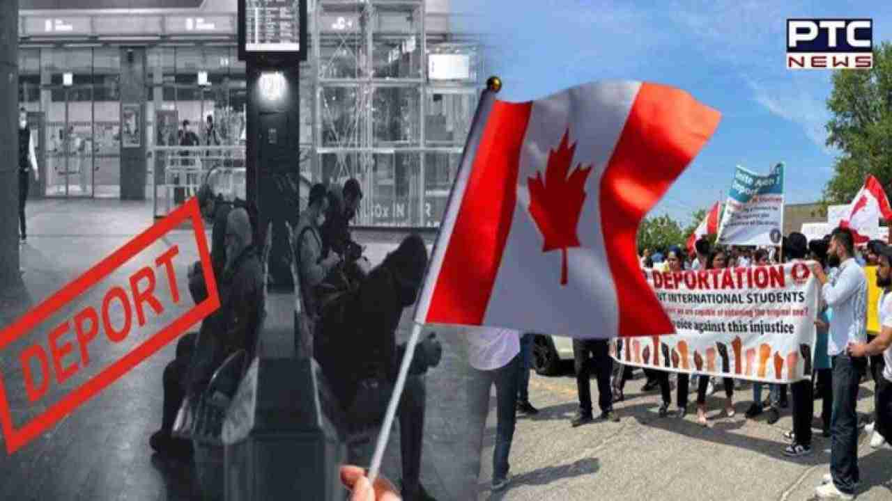 No deportation for now; Canada forms task force to look into the fake admission letter scam