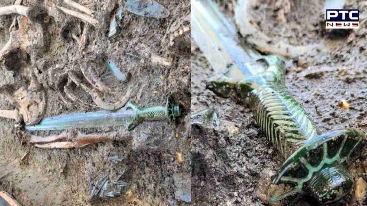 Incredibly rare! 3,000-year-old ancient sword unearthed in Germany
