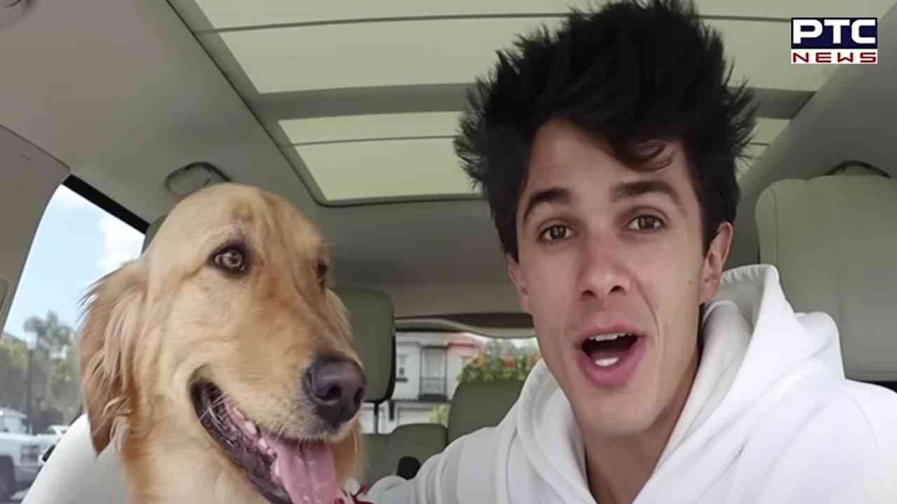 YouTuber builds $20,000 luxury home for dog's birthday: A pawsitively ...