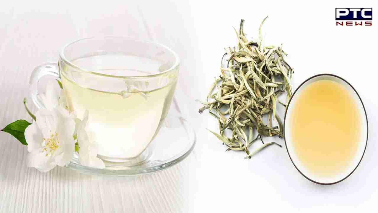 White Tea Benefits : ਕੀ ਤੁਸੀਂ ਕਦੇ ਵਾਈਟ ਟੀ ਬਾਰੇ ਸੁਣਿਆ ਹੈ ਜਾਣੋ ਇਸ ਦੇ ਫਾਇਦੇ