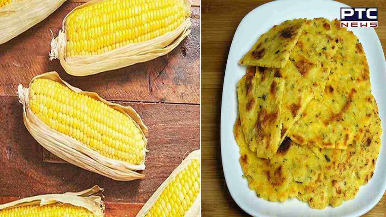 Roasted Corn Benefits: ਸਿਹਤ ਲਈ ਬੇਹੱਦ ਲਾਹੇਵੰਦ ਹੈ ਭੁੰਨੀ ਹੋਈ ਮੱਕੀ, ਜਾਣੋ ਇਸ ਤੋਂ ਹੋਣ ਵਾਲੇ ਹੈਰਾਨੀਜਨਕ ਫਾਇਦੇ