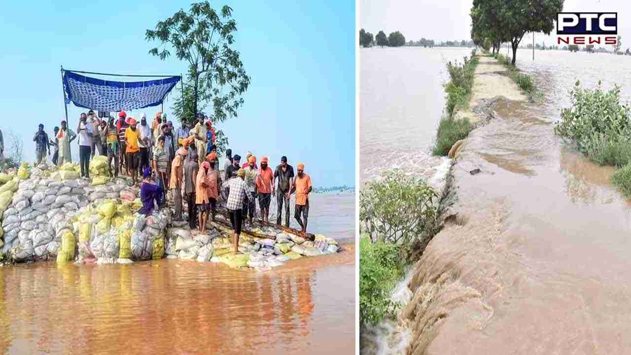 Punjab Flood Situation: ਪੰਜਾਬ ’ਚ ਹੜ੍ਹ ਦੀ ਮਾਰ ਹੇਠ ਆਏ 1432 ਪਿੰਡ; 38 ਲੋਕਾਂ ਦੀ ਗਈ ਜਾਨ, ਇੱਥੇ ਜਾਣੋ ਮੌਜੂਦਾਂ ਸਮੇਂ ਦੇ ਹਾਲਾਤ