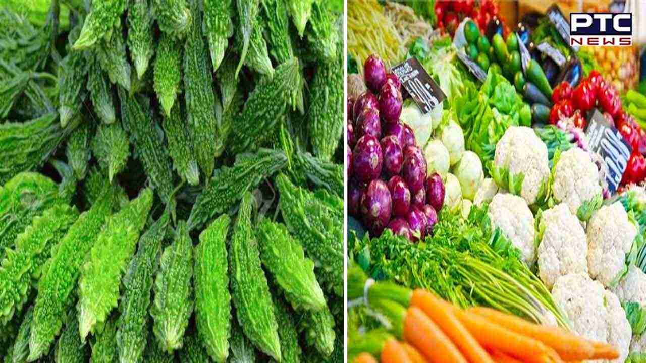 Eating Bitter Gourd Powder Benefits : ਜਾਣੋ ਕਰੇਲੇ ਦੇ ਪਾਊਡਰ ਖਾਣ ਤੋਂ ਹੋਂਣਗੇ ਇਹ ਫਾਇਦੇ...