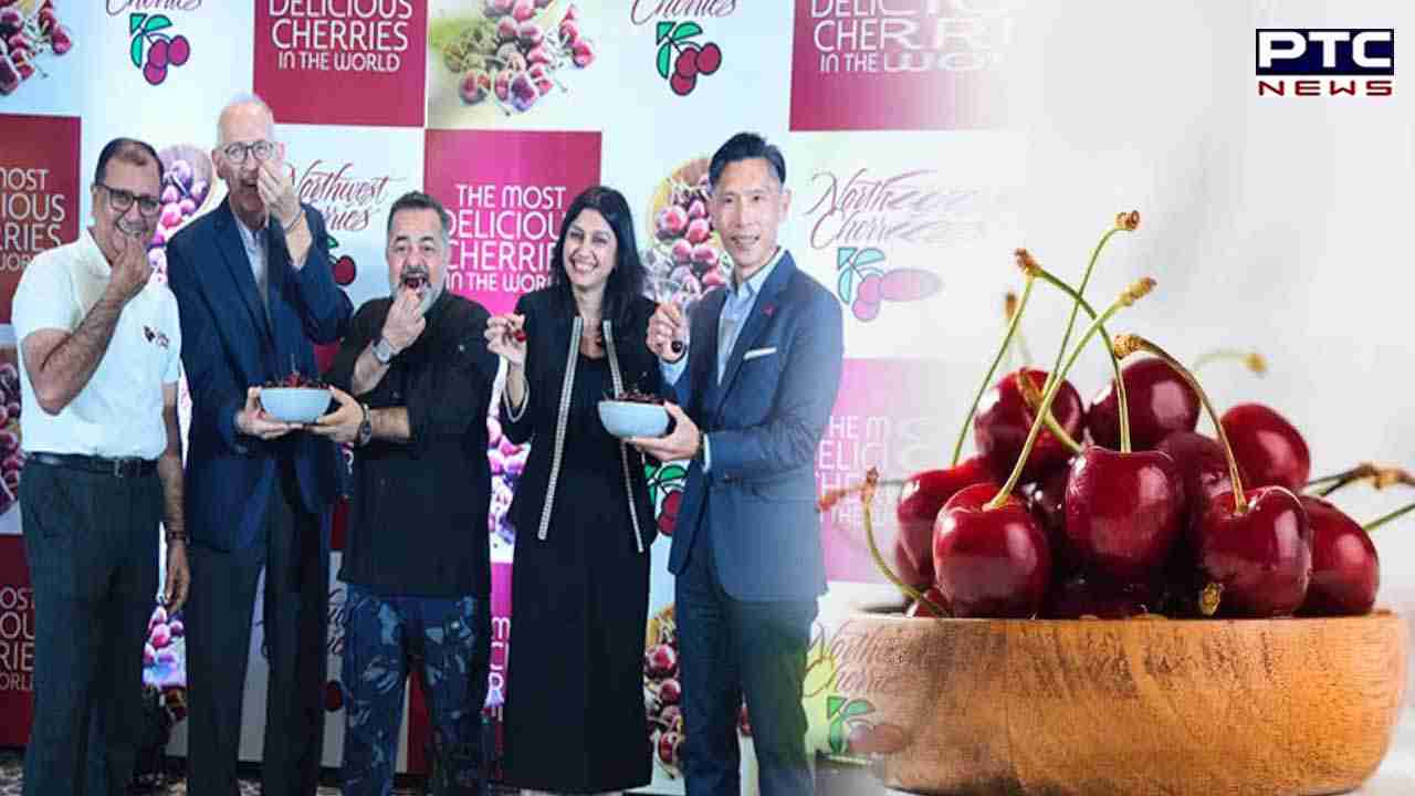 Pacific Northwest USA cherries now added to Indian cart, check details