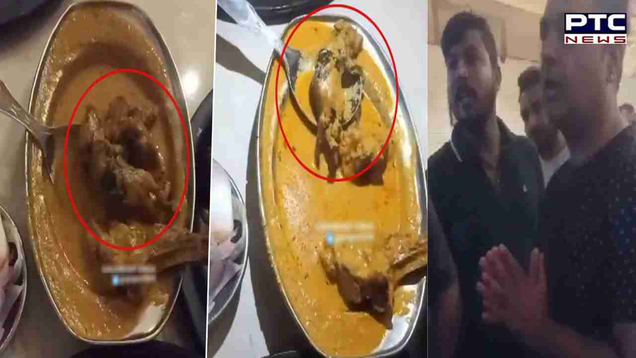 Viral Video: Ludhiana man finds dead rat in food, restaurant reacts