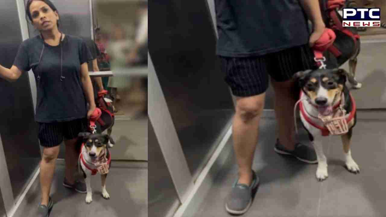 ਗਰਭਵਤੀ ਔਰਤ ਨੇ ਕੁੱਤੇ ਨੂੰ ਮਾਸਕ ਪਾਉਣ ਲਈ ਕਿਹਾ, ਔਰਤ ਨੂੰ ਆਇਆ ਗੁੱਸਾ, ਕਿਹਾ...