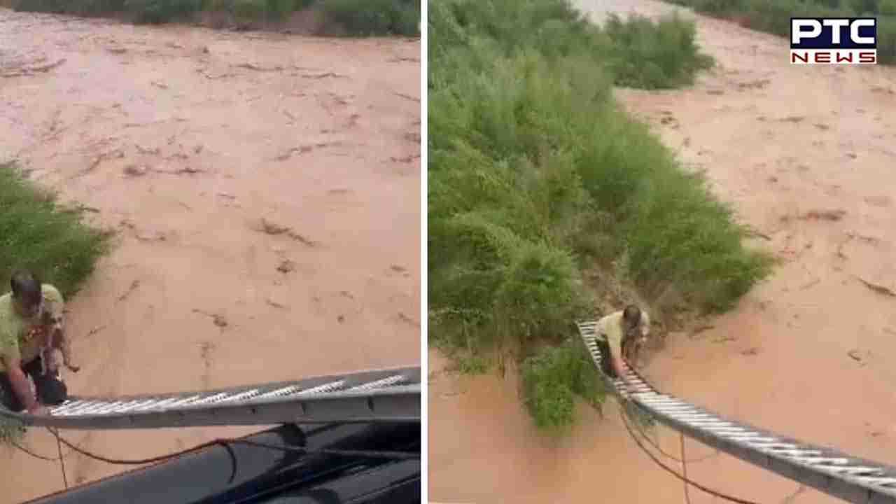 Heroic man's dramatic rescue of dog from raging waters in Chandigarh captivates the internet