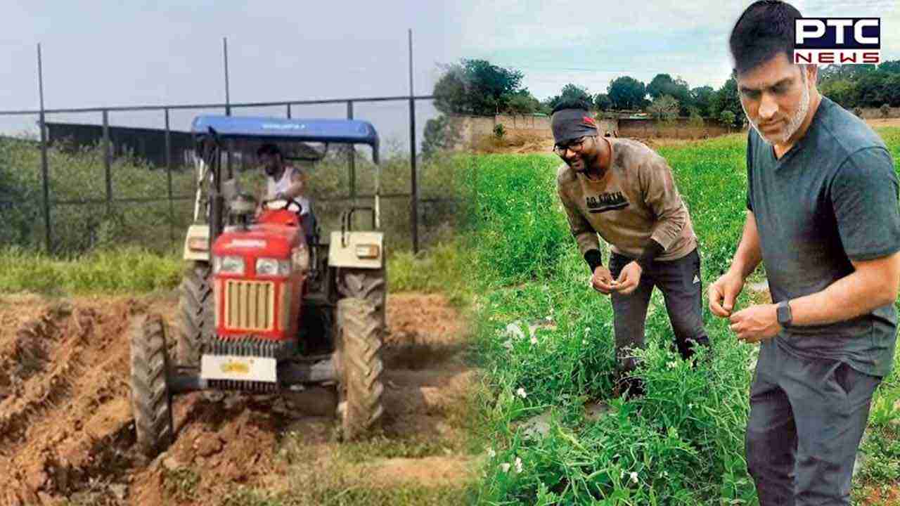MS Dhoni's Birthday Special: Know about star cricketer's love from pitch to farm