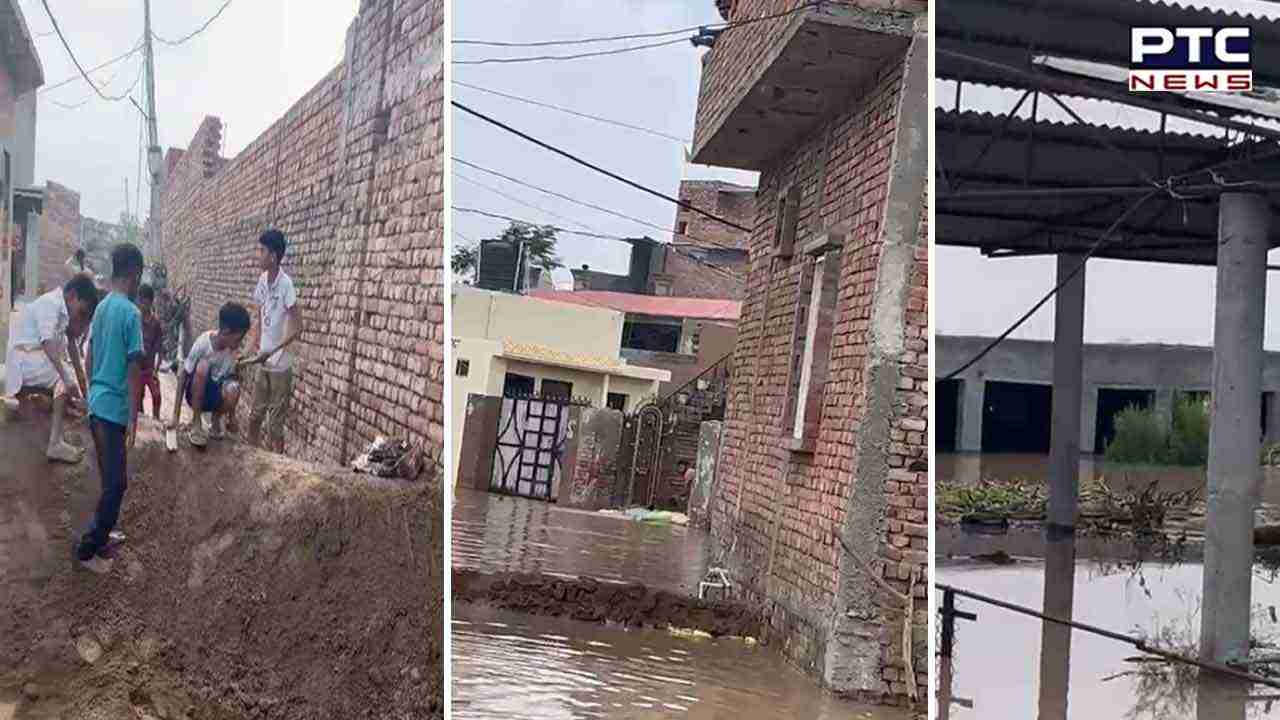 Rain Fury: Severe flooding in Jalandhar and Sultanpur Lodhi as Sutlej river breaches submerge 50 villages
