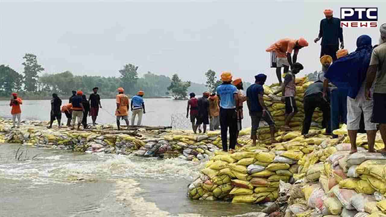 Punjab and Haryana focus on restoration efforts as floodwaters recede