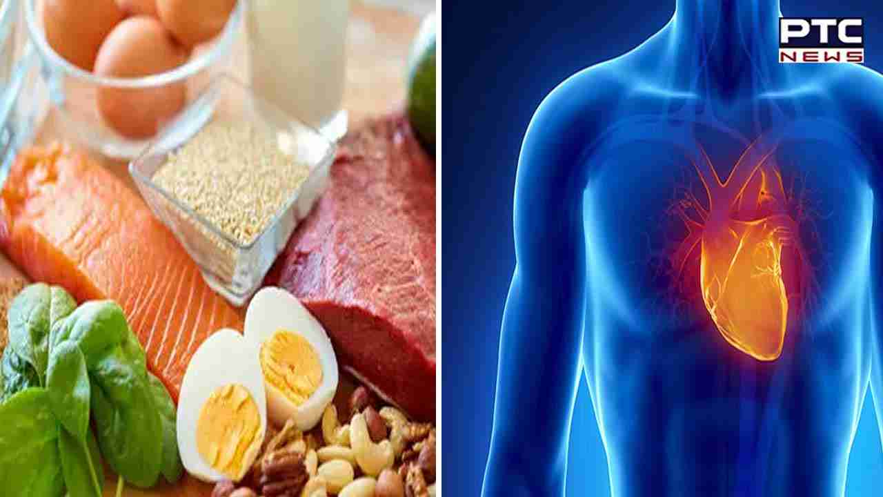 Food Boost Energy Level: ਸਰੀਰ ਵਿੱਚ ਊਰਜਾ ਦੀ ਕਮੀ ਤੇ ਦਿਨ ਭਰ ਕਮਜ਼ੋਰੀ ਰਹਿੰਦੀ ਹੈ ਤਾਂ ਖਾਓ ਇਹ ਚੀਜ਼ਾਂ...