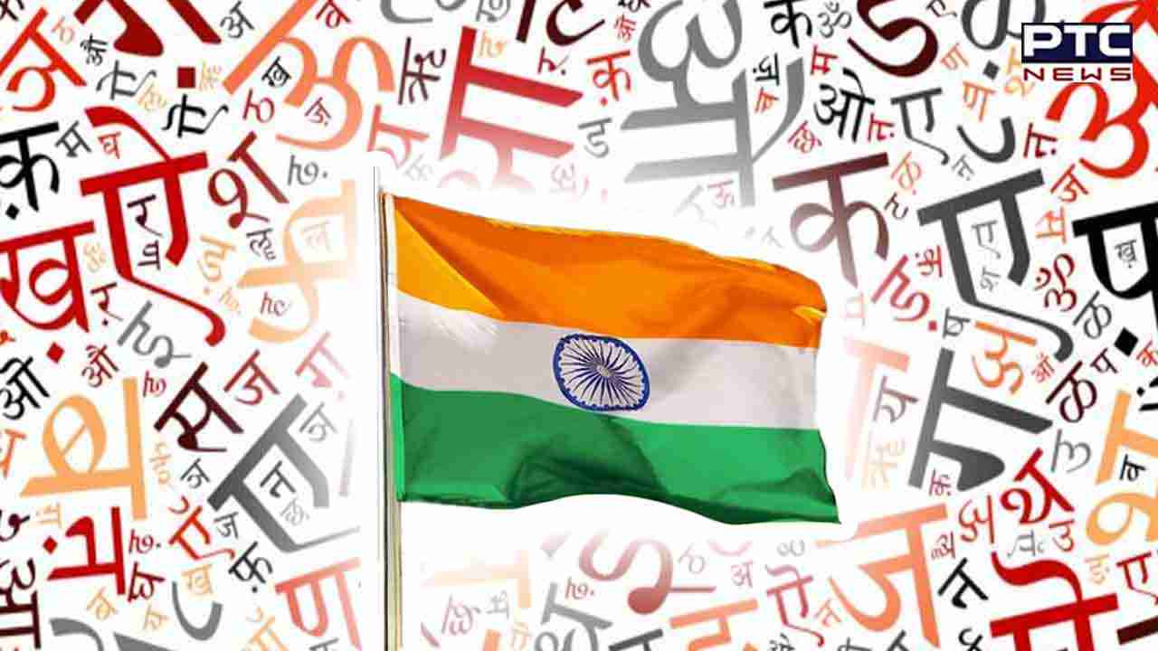 ਭਾਰਤ ਨੇ ਹਿੰਦੀ ਭਾਸ਼ਾ ਨੂੰ ਉਤਸ਼ਾਹਿਤ ਕਰਨ ਲਈ ਸੰਯੁਕਤ ਰਾਸ਼ਟਰ ਵਿੱਚ ਪਾਇਆ ਯੋਗਦਾਨ