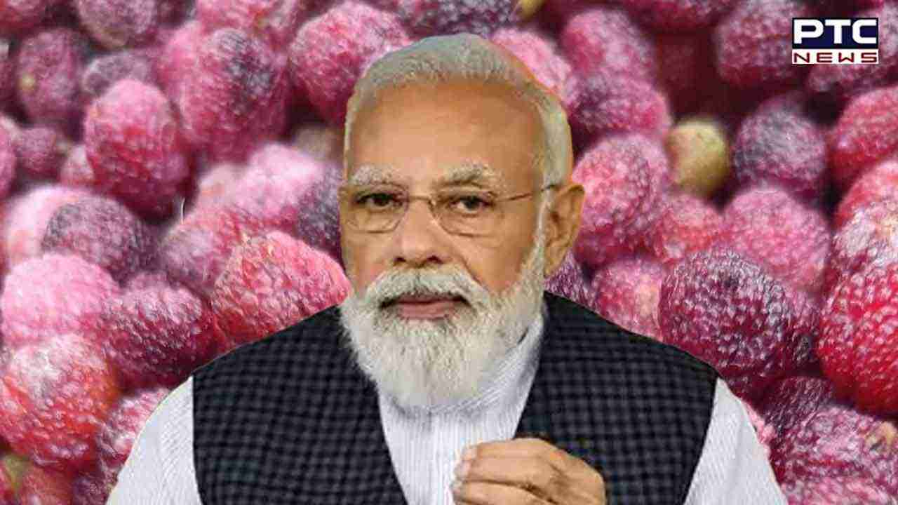 PM Modi savours Uttarakhand's exquisite 'Kafal' fruit, extends heartfelt thanks to CM Dhami