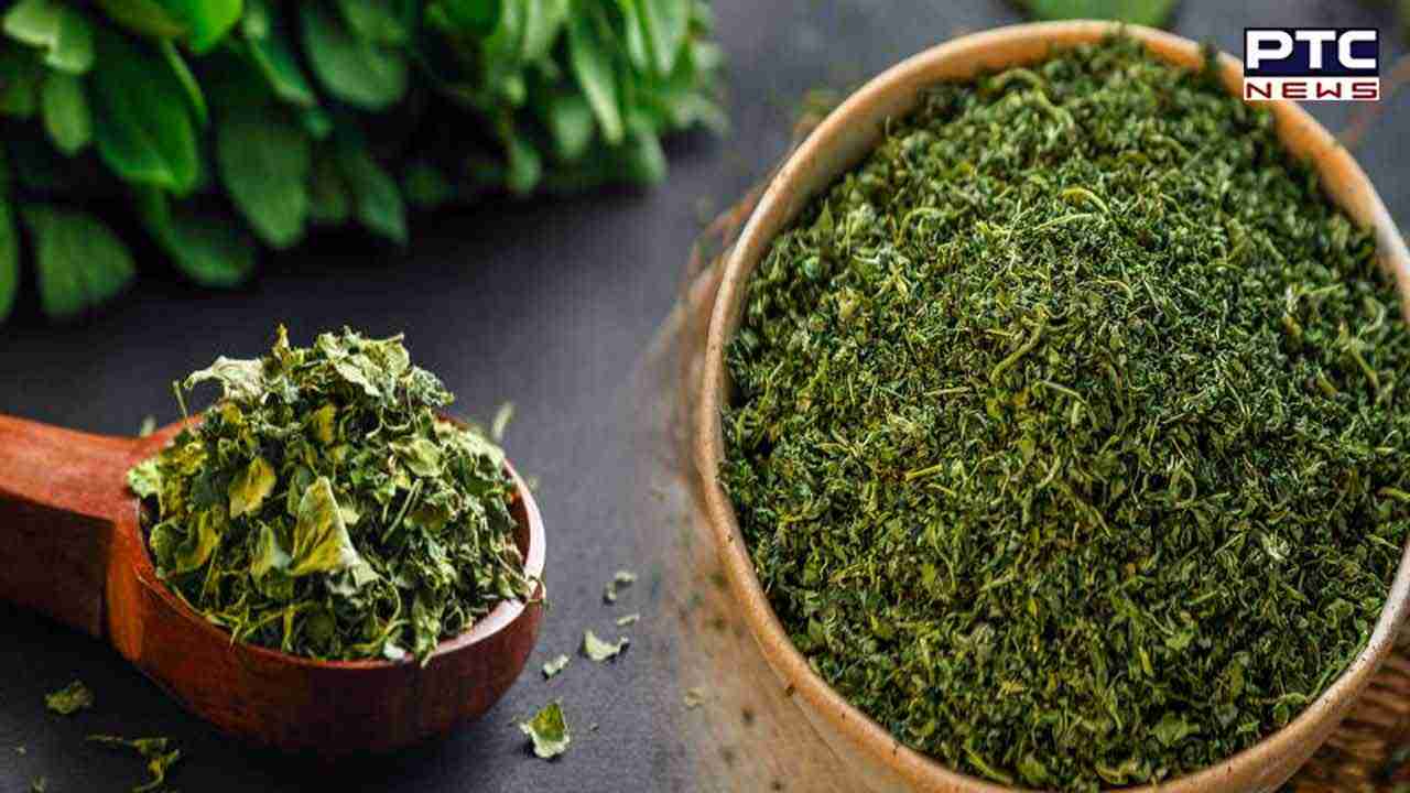 Eating Kasuri Methi Benefits: ਕਸੂਰੀ ਮੇਥੀ ਦਾ ਸੇਵਨ ਕੋਲੈਸਟ੍ਰੋਲ ਤੋਂ ਲੈ ਕੇ ਬਲੱਡ ਪ੍ਰੈਸ਼ਰ ਨੂੰ ਕਰਦਾ ਹੈ ਕੰਟਰੋਲ ! ਜਾਣੋ ਇਸ ਦੇ ਹੋਰ ਫਾਇਦੇ
