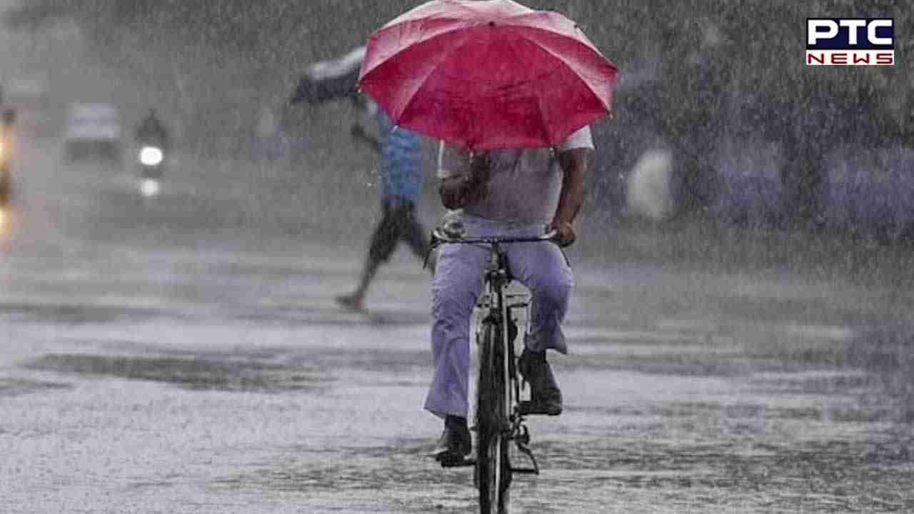 Monsoon Insects: ਜੇਕਰ ਤੁਹਾਨੂੰ ਵੀ ਮੀਂਹ ਦੇ ਮੌਸਮ ‘ਚ ਕੀੜੇ-ਮਕੌੜੇ ਕਰ ਰਹੇ ਹਨ ਪਰੇਸ਼ਾਨ ਤਾਂ ਅਪਣਾਓ ਇਹ ਘਰੇਲੂ ਨੁਸਖੇ