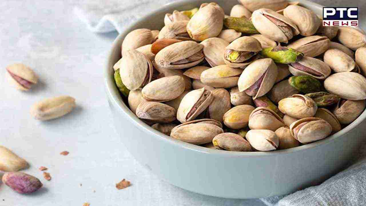 ਪਿਸਤਾ ਖਾਣ ਨਾਲ ਤੇਜ਼ ਹੁੰਦਾ ਹੈ ਦਿਮਾਗ; ਜਾਣੋ ਸਰੀਰ ਨੂੰ ਹੋਰ ਕੀ ਮਿਲਦੇ ਹਨ ਫਾਇਦੇ