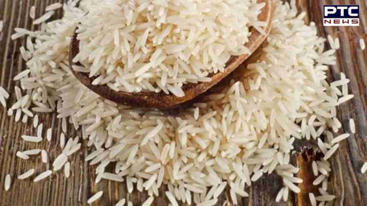 IMF warns: India's rice exports ban to intensify global food price volatility