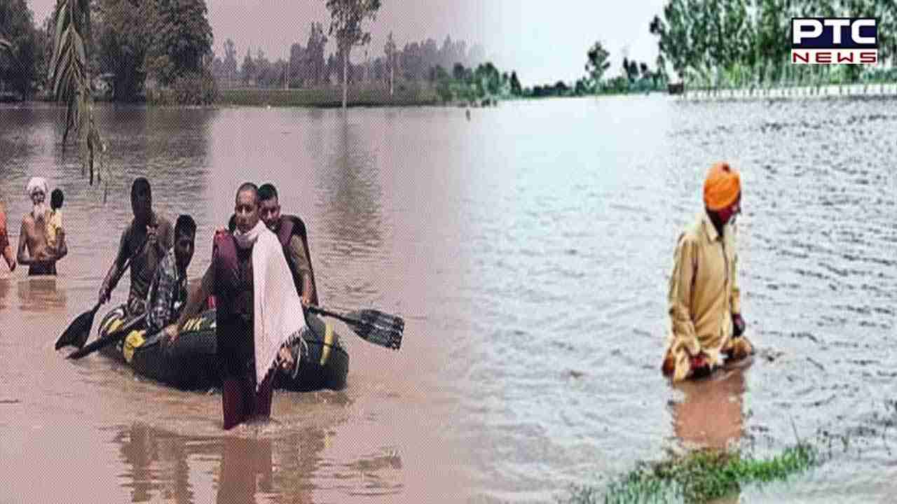 Punjab floods CM Mann reviews relief measures in floodhit areas of