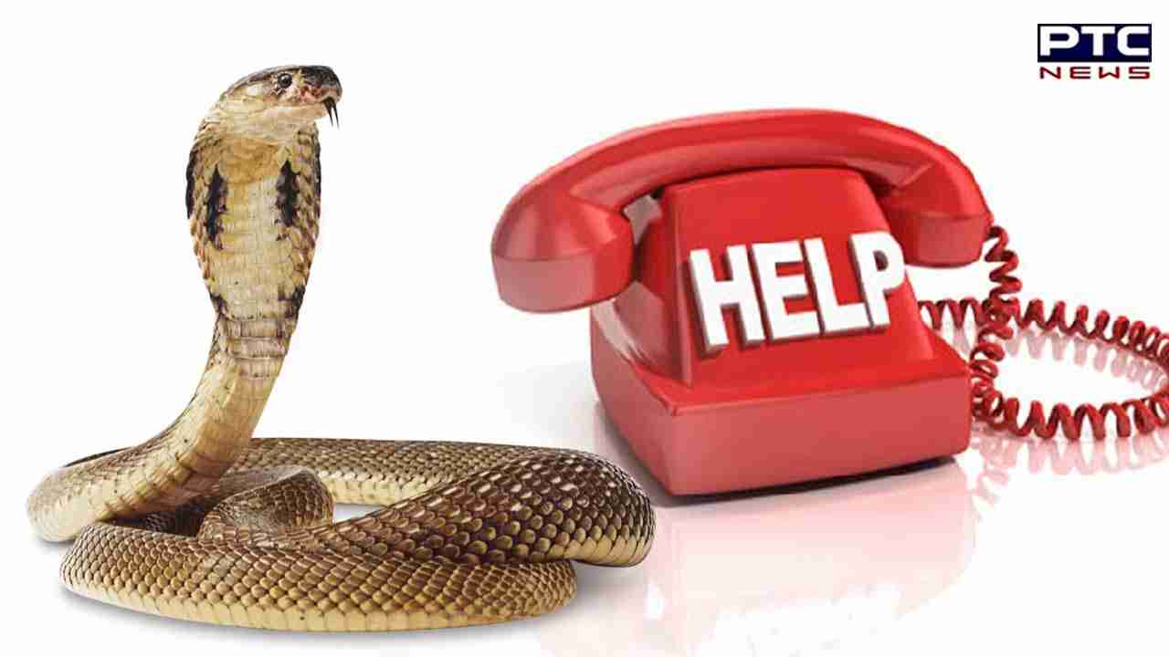 Snakes seen in waterlogged:ਹੜ੍ਹ ਦਾ ਪਾਣੀ ਉਤਰਨ ਤੋਂ ਬਾਅਦ ਘਰਾਂ ‘ਚ ਸੱਪ ਨਿਕਲਣ ਦੇ ਵਧੇ ਮਾਮਲੇ, ਪ੍ਰਸ਼ਾਸਨ ਨੇ ਜਾਰੀ ਕੀਤਾ ਹੈਲਪਲਾਈਨ ਨੰਬਰ
