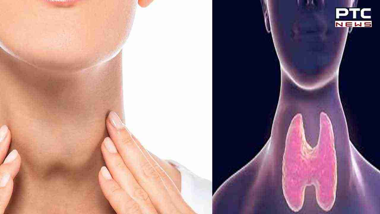 Bad Foods For Thyroid: ਜੇਕਰ ਤੁਹਾਨੂੰ ਵੀ ਹੈ ਥਾਇਰਾਇਡ, ਤਾ ਇਨ੍ਹਾਂ ਚੀਜ਼ਾਂ ਤੋਂ ਰਹੋ ਦੂਰ ਇਹ ਵਜ਼ਨ-ਦਰਦ ਅਤੇ ਡਿਪ੍ਰੈਸ਼ਨ ਨੂੰ ਵਧਾਉਂਦੇ ਹਨ