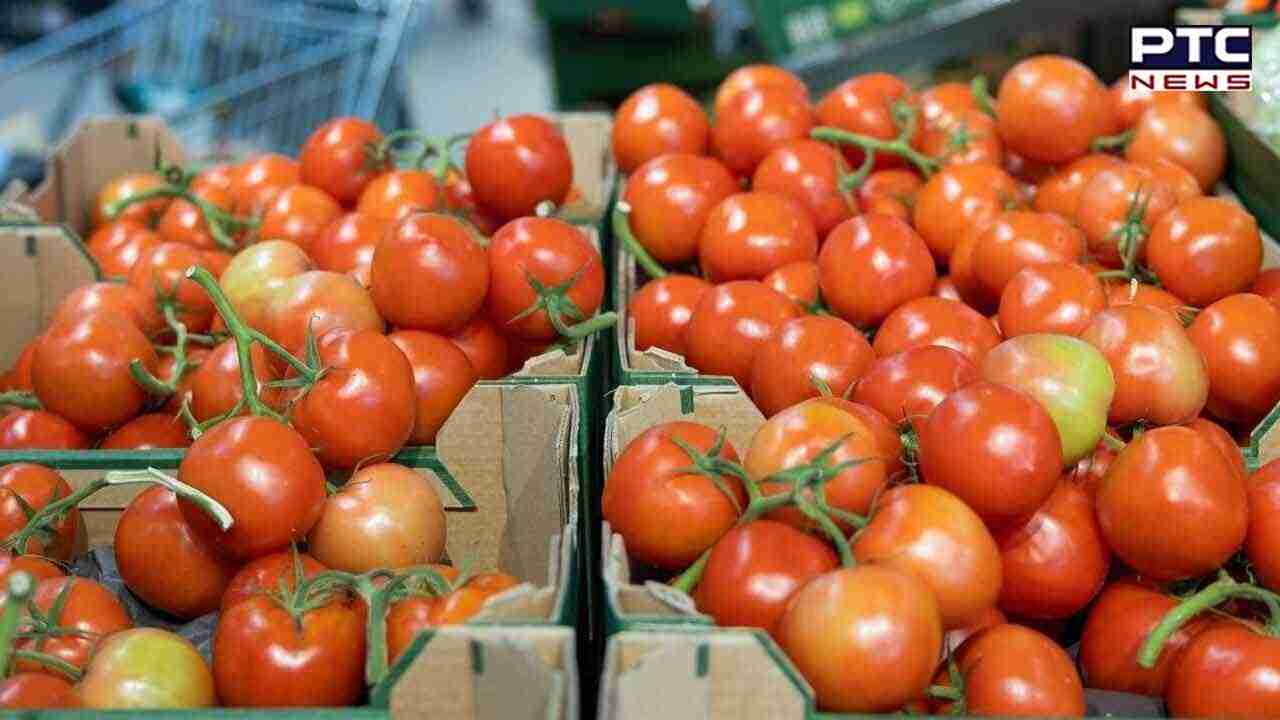 ਕਰਨਾਟਕ 'ਚ 2.5 ਲੱਖ ਰੁਪਏ ਦੇ ਟਮਾਟਰ ਲੁੱਟਣ ਦੀ ਰਚੀ ਸਾਜ਼ਿਸ਼, ਪੁਲਿਸ ਨੇ ਪਤੀ-ਪਤਨੀ ਨੂੰ ਕੀਤਾ ਗ੍ਰਿਫਤਾਰ