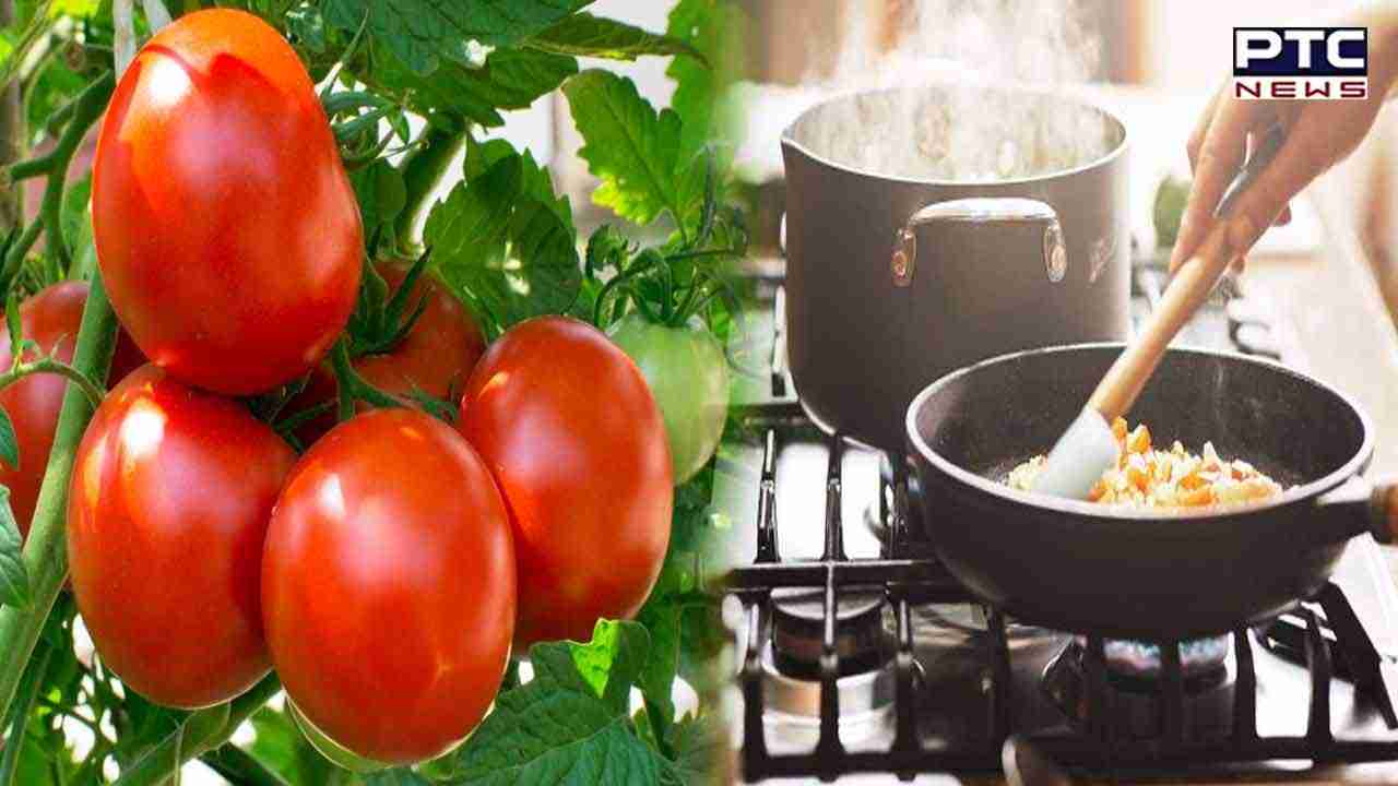 Vegetable Prices: ਸਬਜ਼ੀਆਂ ਦੇ ਭਾਅ ਚੜ੍ਹੇ ਅਸਮਾਨੀਂ,ਟਮਾਟਰ 100 ਤੇ ਅਦਰਕ ਹੋਇਆ 400 ਤੋਂ ਪਾਰ