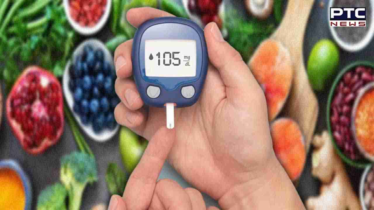 Tips for Diabetes Patients: ਹਰ ਰੋਜ਼ ਕਰੋ ਇਹ 10 ਕੰਮ ਤੁਹਾਡਾ ਕੰਟਰੋਲ ’ਚ ਰਹੇਗਾ Blood Sugar