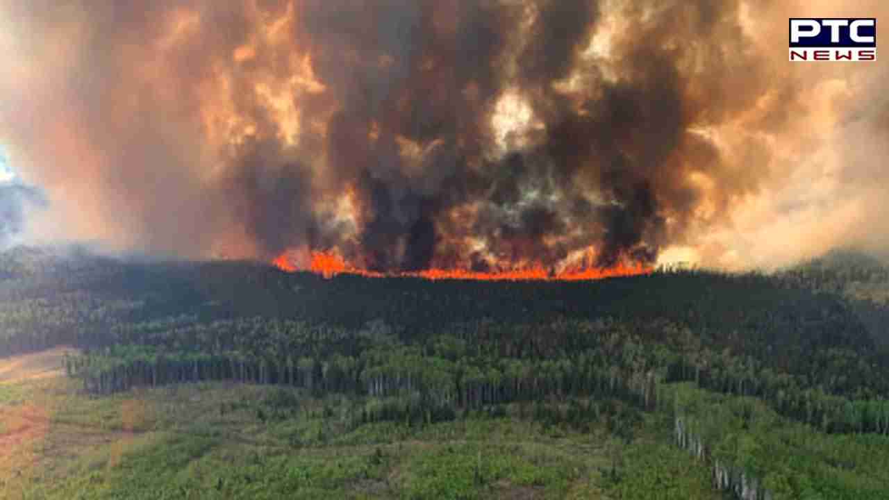 Canada wildfires: State of emergency declared in British Columbia province