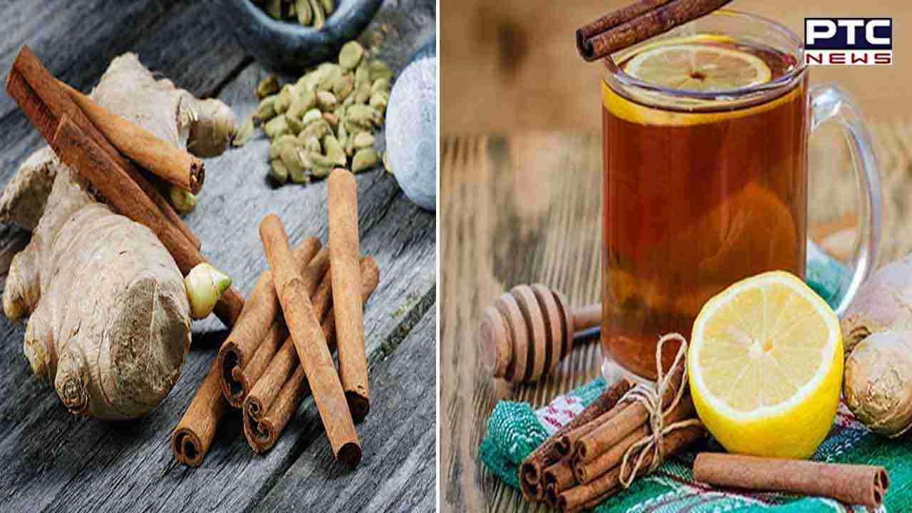 Cinnamon And Ginger Benefits: ਦਾਲਚੀਨੀ ਅਤੇ ਅਦਰਕ ਦਾ ਪਾਣੀ ਪੀਣ ਨਾਲ ਸਿਹਤ ਨੂੰ ਹੁੰਦੇ ਹਨ ਕਈ ਹੈਰਾਨੀਜਨਕ ਫਾਇਦੇ, ਇੱਥੇ ਜਾਣੋ